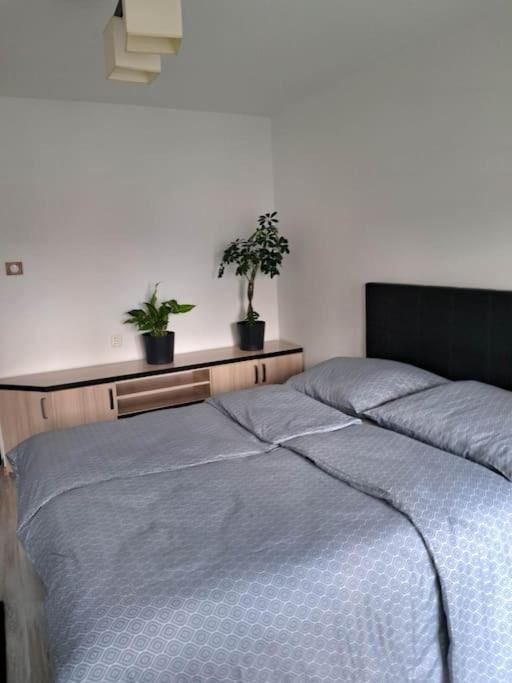 Apartament Na 4 Pietrze 노비 타르그 외부 사진