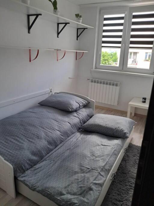 Apartament Na 4 Pietrze 노비 타르그 외부 사진